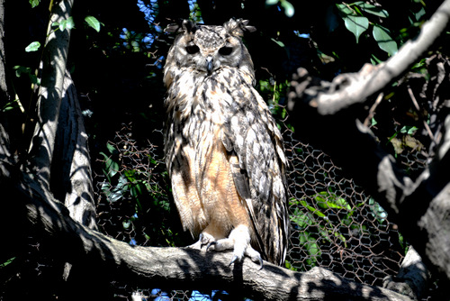 World of Birds Wildlife Sanctuary.